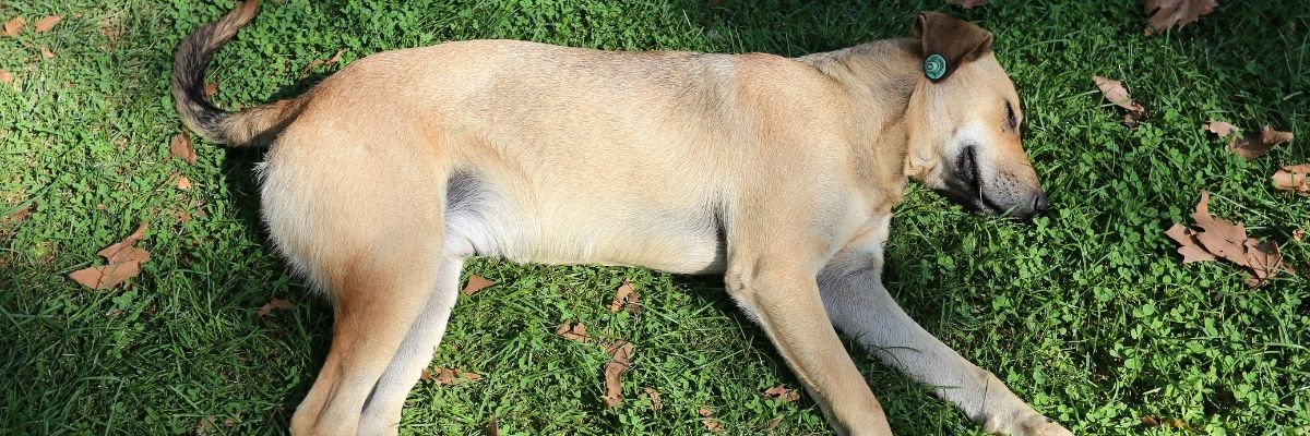 Gölbaşı’nda Doğa Fotoğrafçılığı İçin En Güzel Noktalar