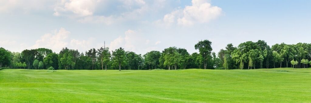 Gölbaşı’ndaki Parklar ve Yeşil Alanlar Hakkında Bilmeniz Gerekenler