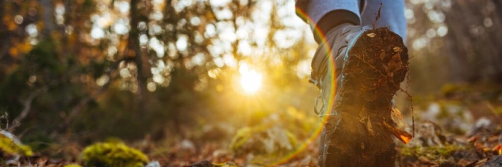 Gölbaşı’nda Doğayla İç İçe Yürüyüş Yapabileceğiniz 5 Huzurlu Parkur