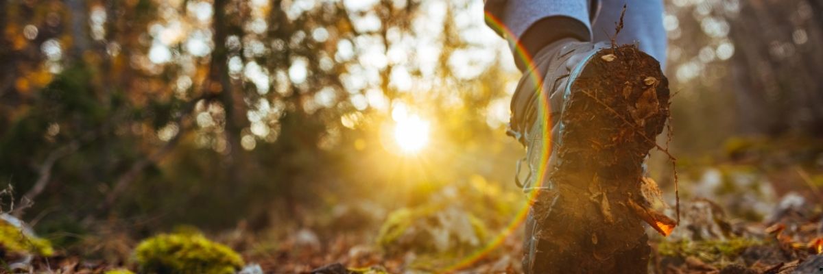 Gölbaşı’nda Doğayla İç İçe Yürüyüş Yapabileceğiniz 5 Huzurlu Parkur