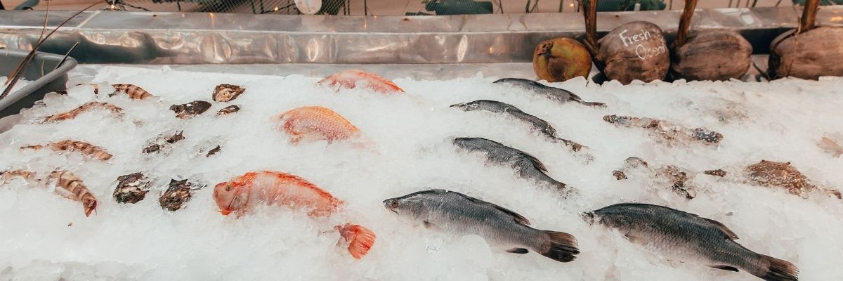 Gölbaşı Balık Restoranları