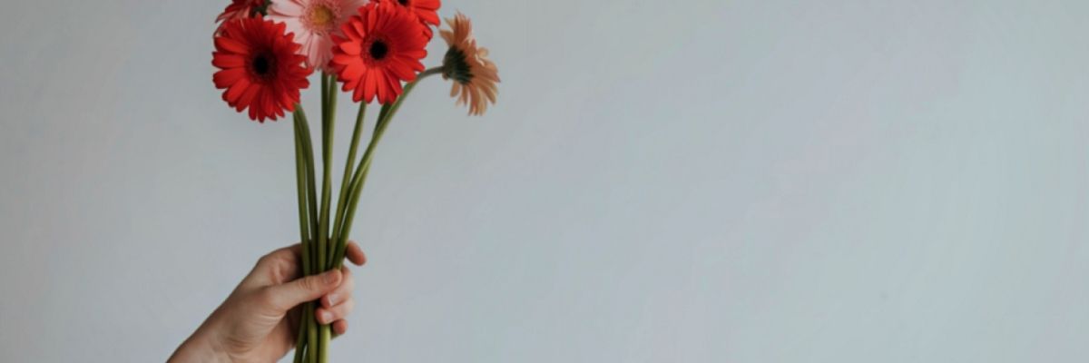 Gölbaşı Sevgi Çiçeği Nedir?